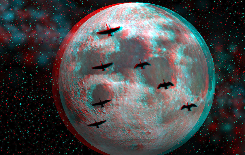 3D Picture of the Day: Moon Geese