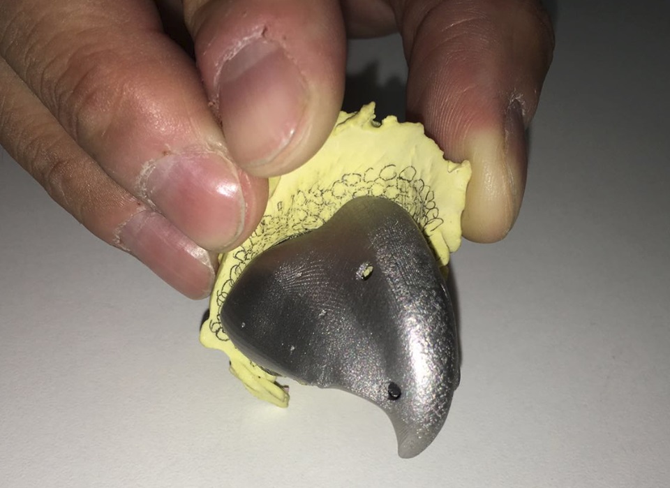 3d-printed-titanium-beak-for-macaw_1b.jpg